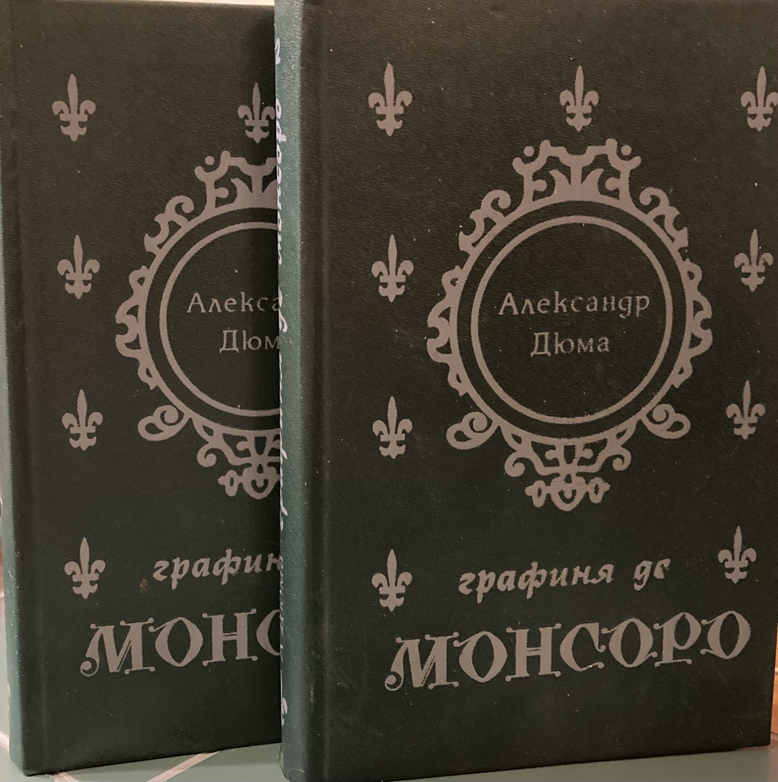 Слушать дюма графиня де. А.Дюма: графиня де Монсоро подарочное издание. Книга Дюма графиня де Шарни.