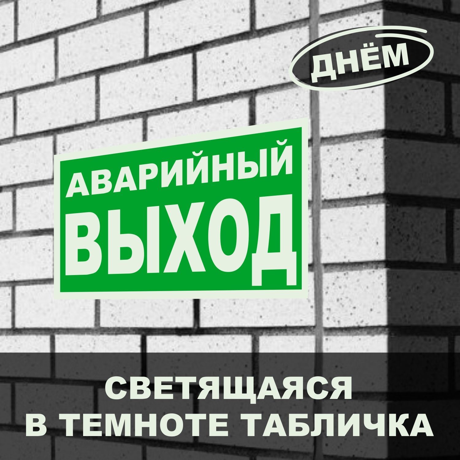 Фотолюминесцентнаяэвакуационнаятабличка"Аварийныйвыход"20х10см,Печатник