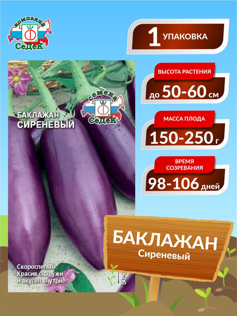 Баклажаны Седек Баклажан - купить по выгодным ценам в интернет-магазинеOZON (885948965)