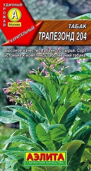 ТАБАКкурительныйТРАПЕЗОНД204.Семена.Вес0,02гр.Отличныйсорткурительноготабака.Аэлита