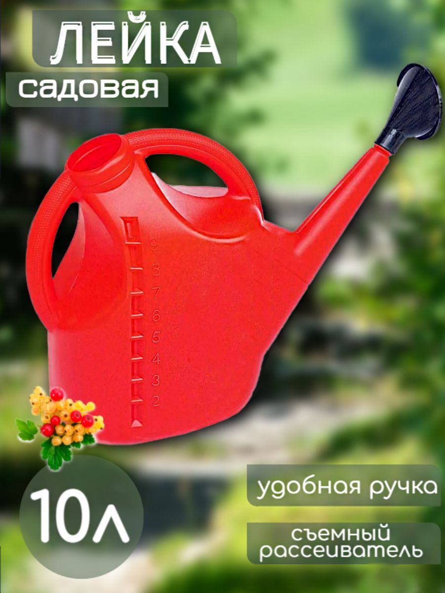 Купить Лейку Садовую Пластмассовую 10