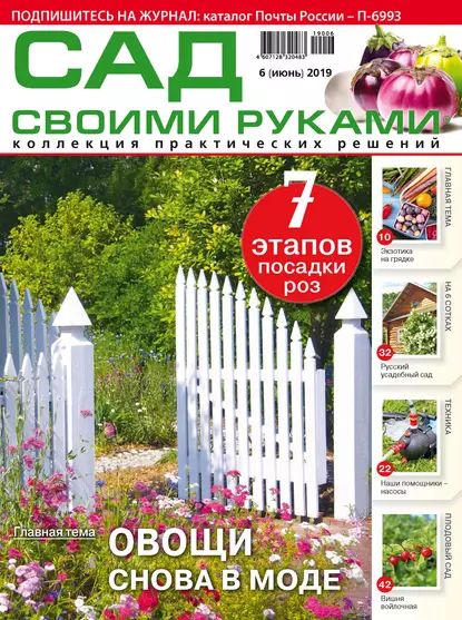 Сад своими руками No06/2019 | Электронная книга