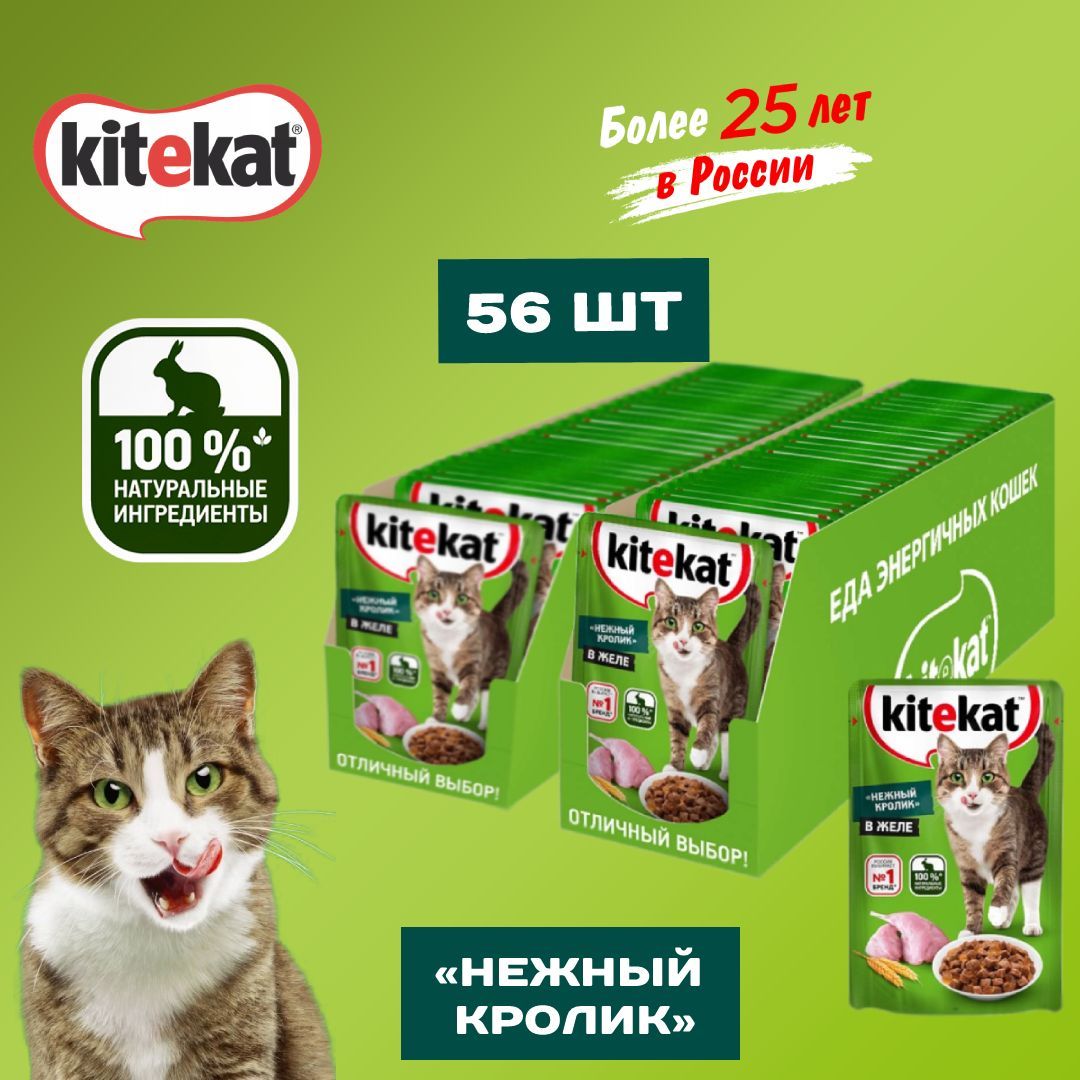 Kitekat rust cheat фото 44