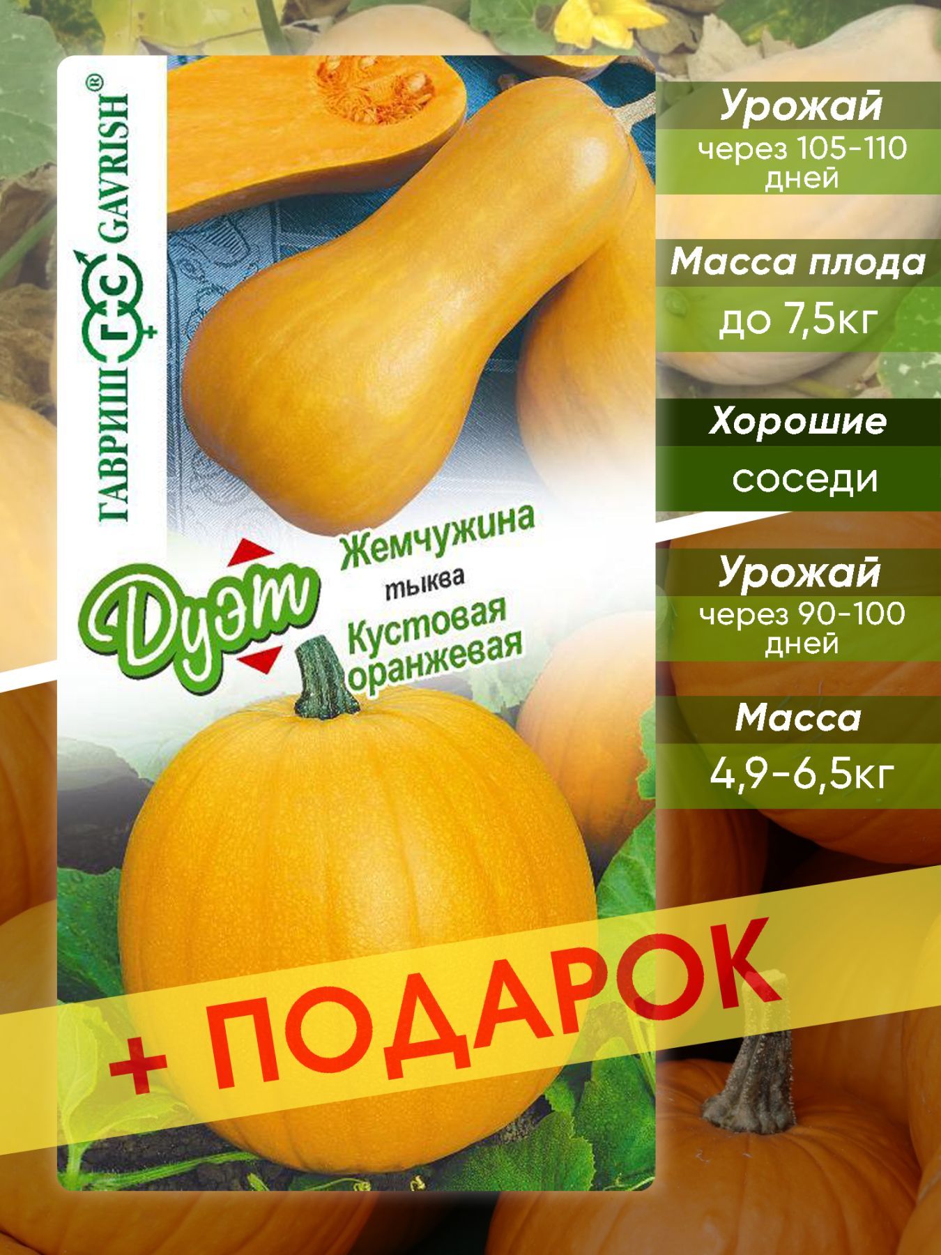 Тыква кустовая сорта. Тыква золотой барон. Тыква кустовая отзывы. Тыква семена сорта кустовые. Тыква кустовая отзывы.