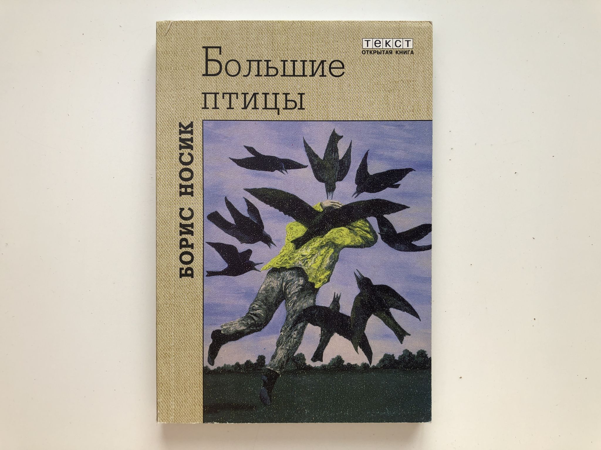 Повесть птица. Большие птицы носик б. книга. слушай птиц. повесть.