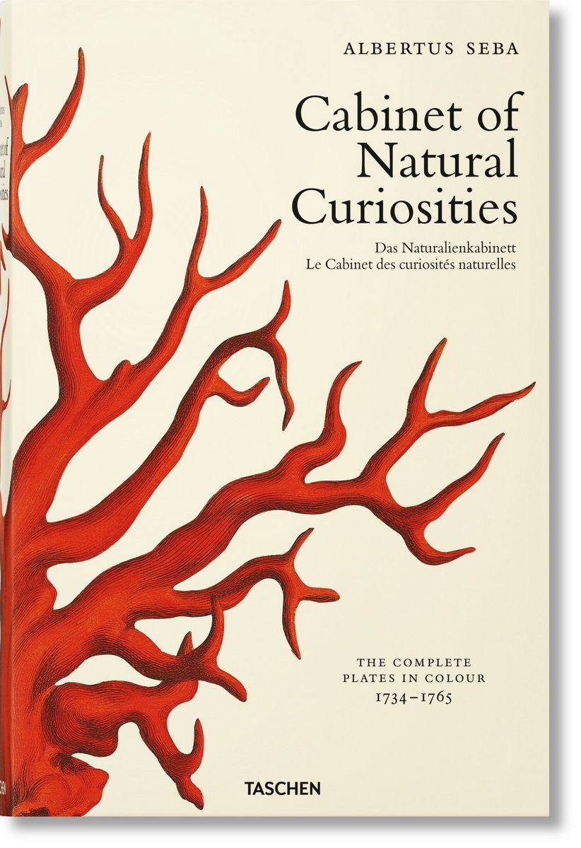 Cabinet of Natural Curiosities XL