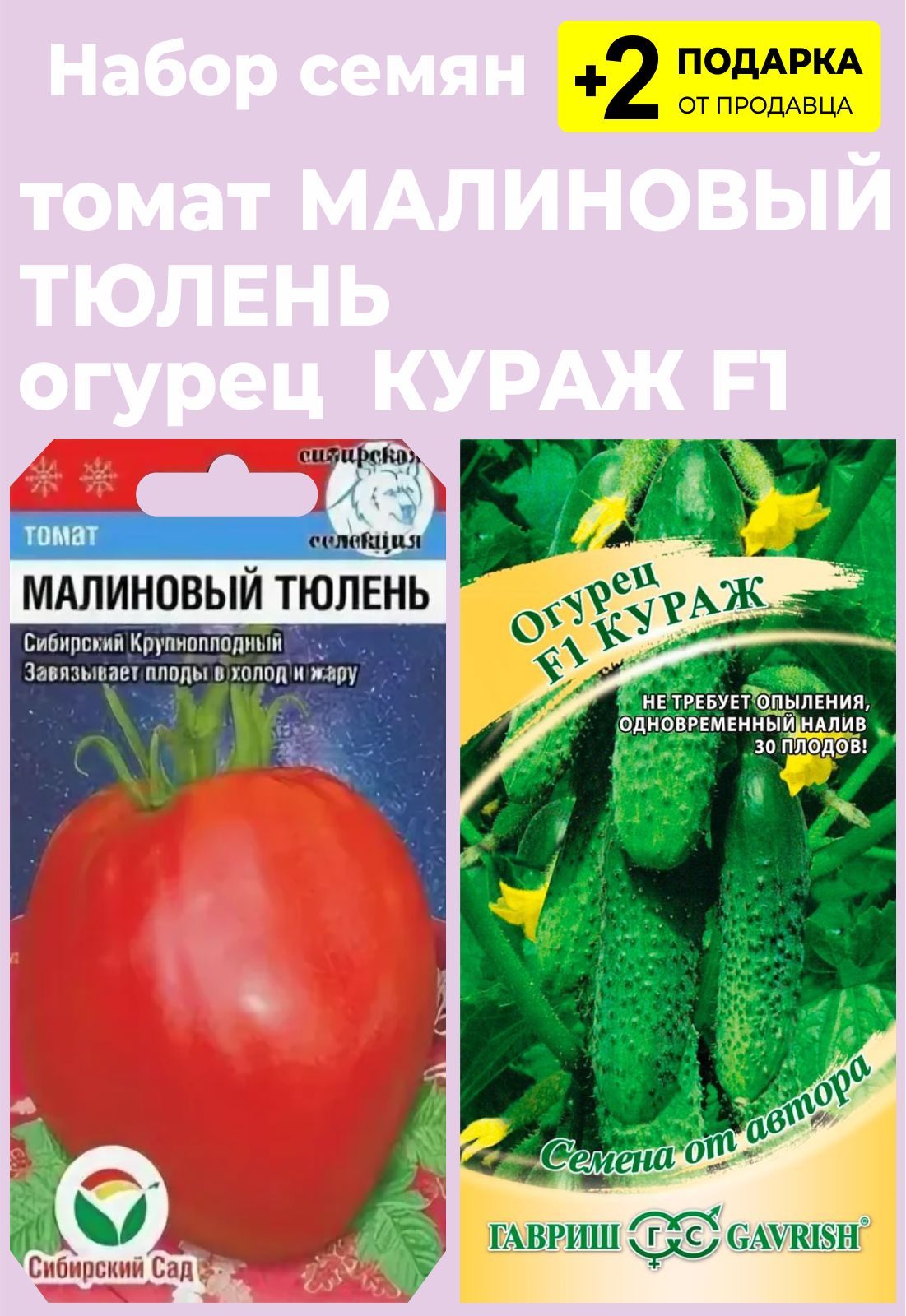 Малиновый тюлень