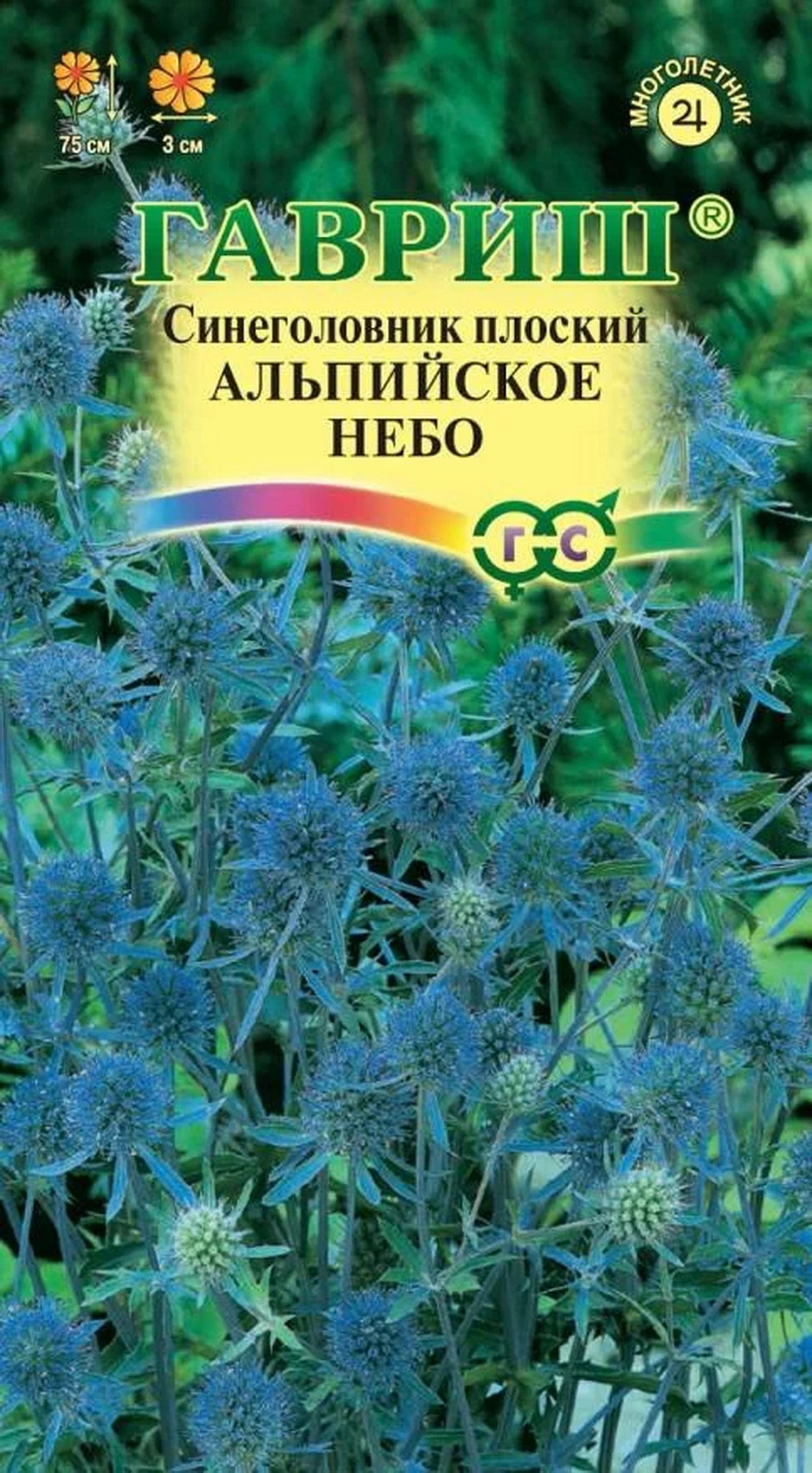 Синеголовник Купить