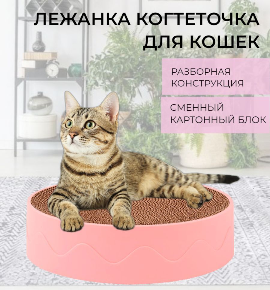 Когтеточка Лежанка Для Кошек Москва Купить