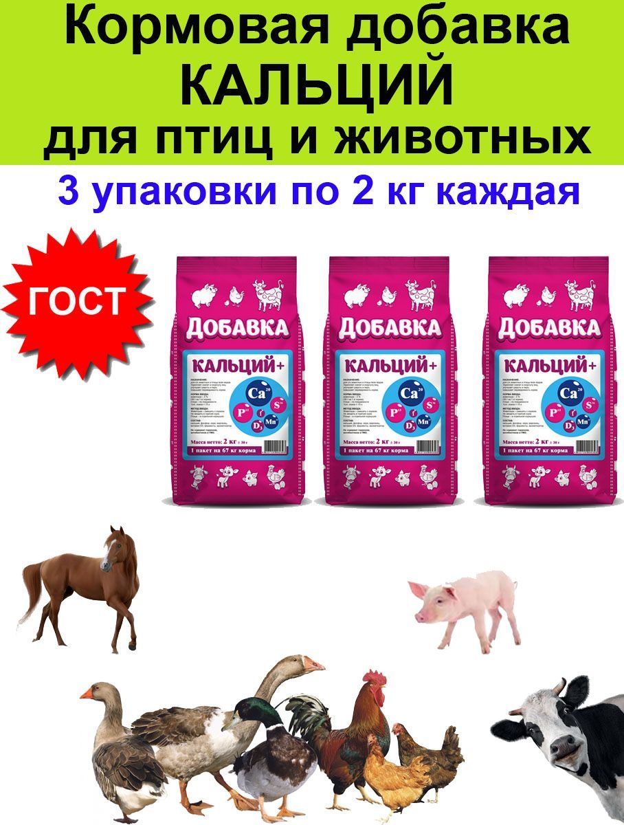 Кальция борглюконат 20%, фл. Препараты кальция для животных в инъекциях. Борглюконат кальция 20% 100 мл /бионит. Кальция борглюконат 100мл /спазфарм. Canina calcina calcium citrat 400.