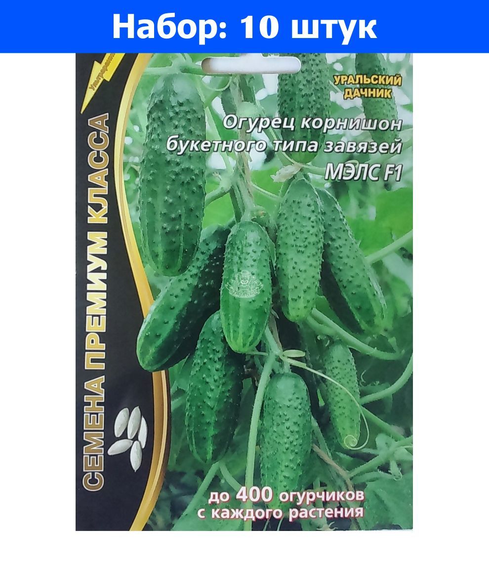Огурцы Само Совершенство Отзывы Фото