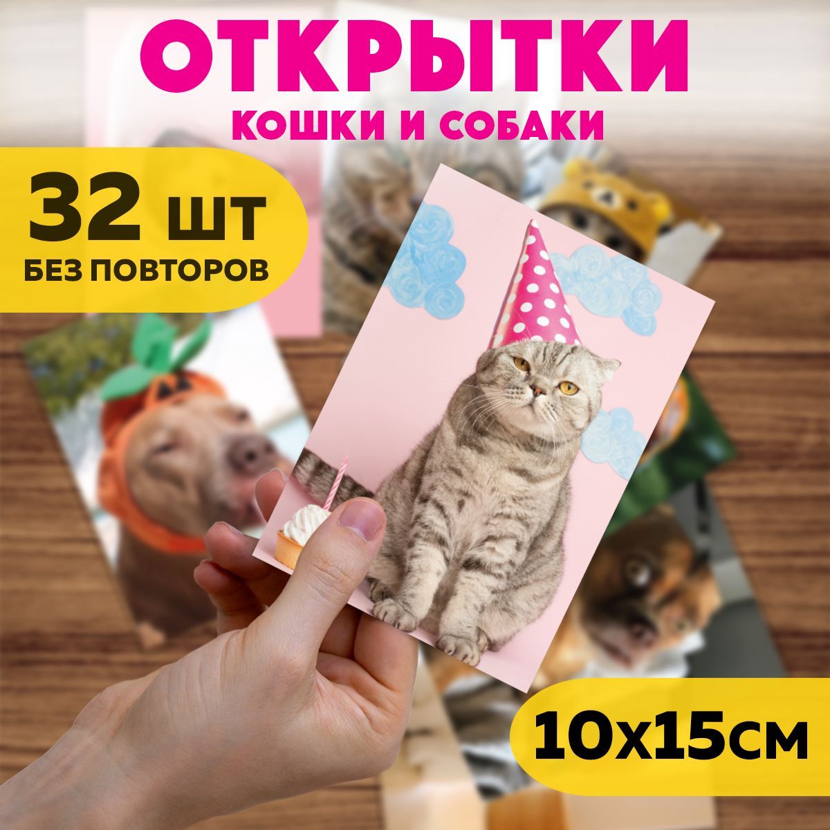 Котики собачки для детей