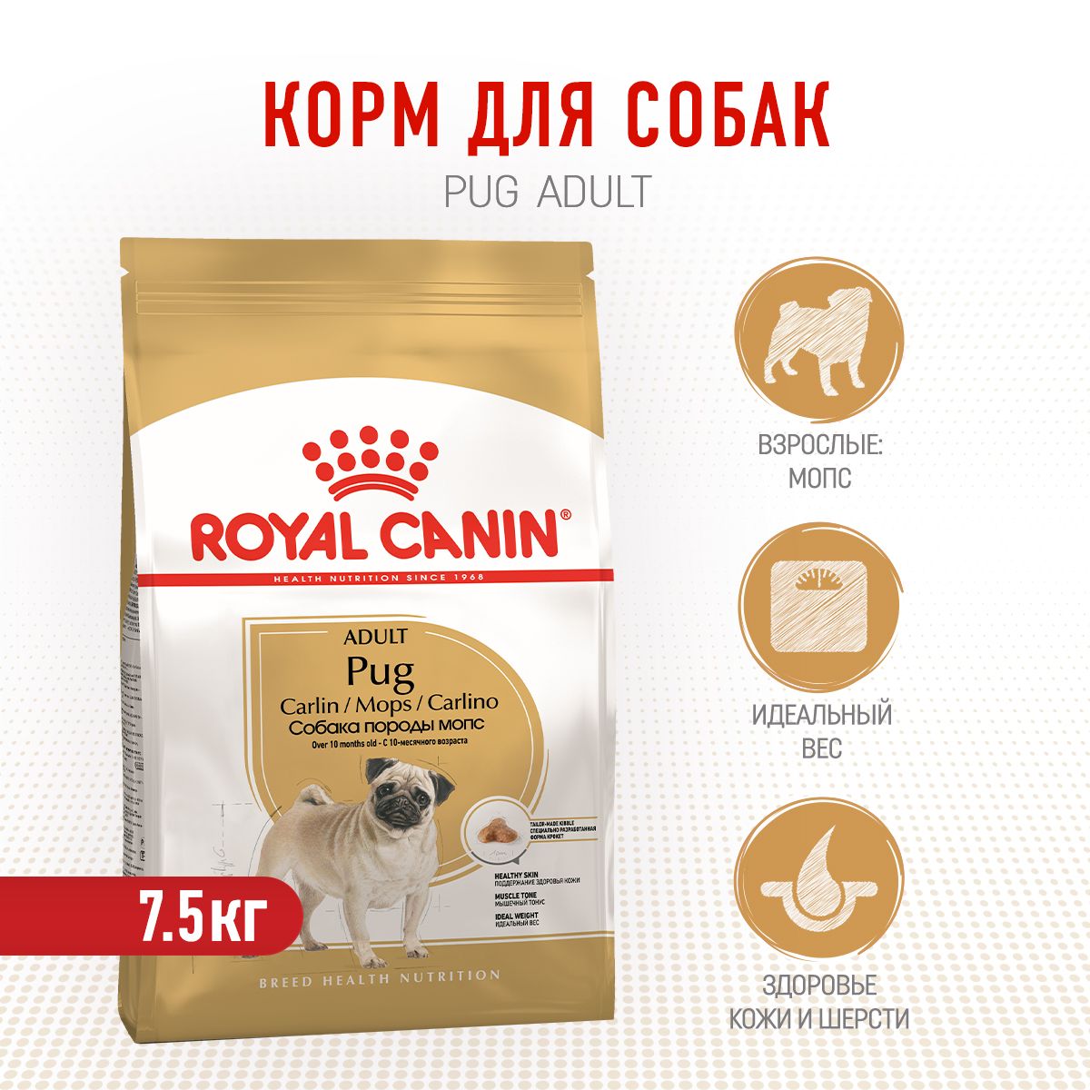 Royal canin mops 7 5 clearance kg