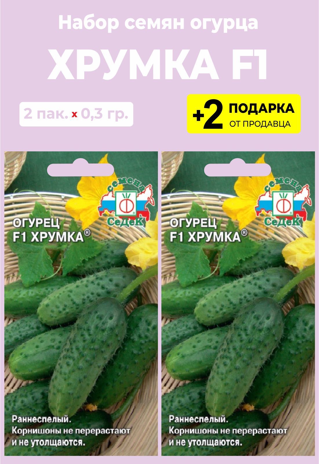 Семья Огурцовых