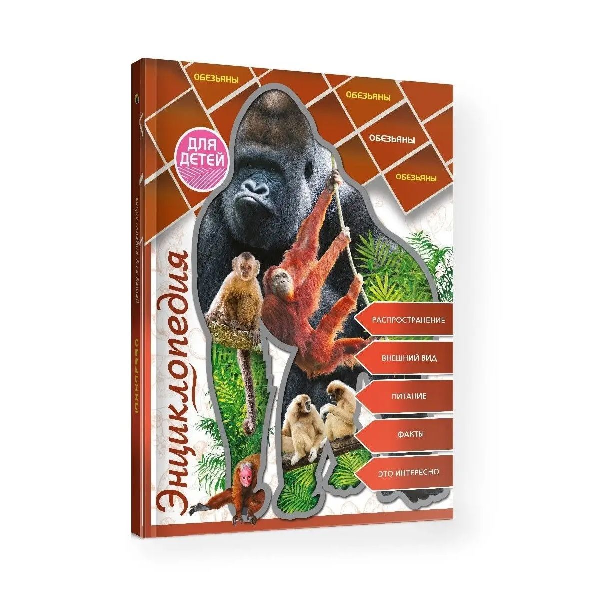 Обезьяна с книгой. Энциклопедия про обезьян. Обезьяны. Энциклопедия про обезьян. Детская энциклопедия обеъзны.