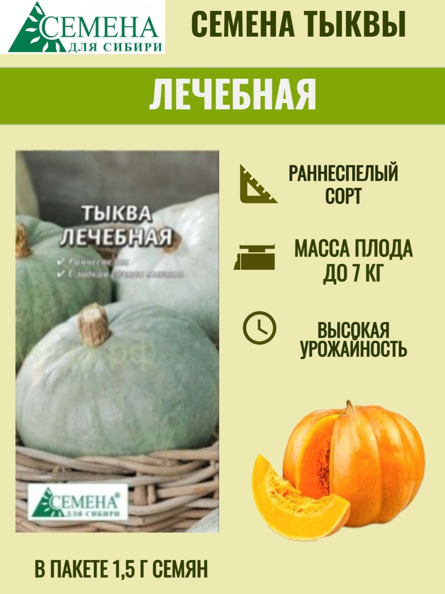 Какой сорт тыквы полезнее. Тыква лечебная. тыква лечебная описание сорта фото отзывы.