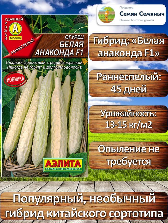 Семена Огурцов Анаконда Купить