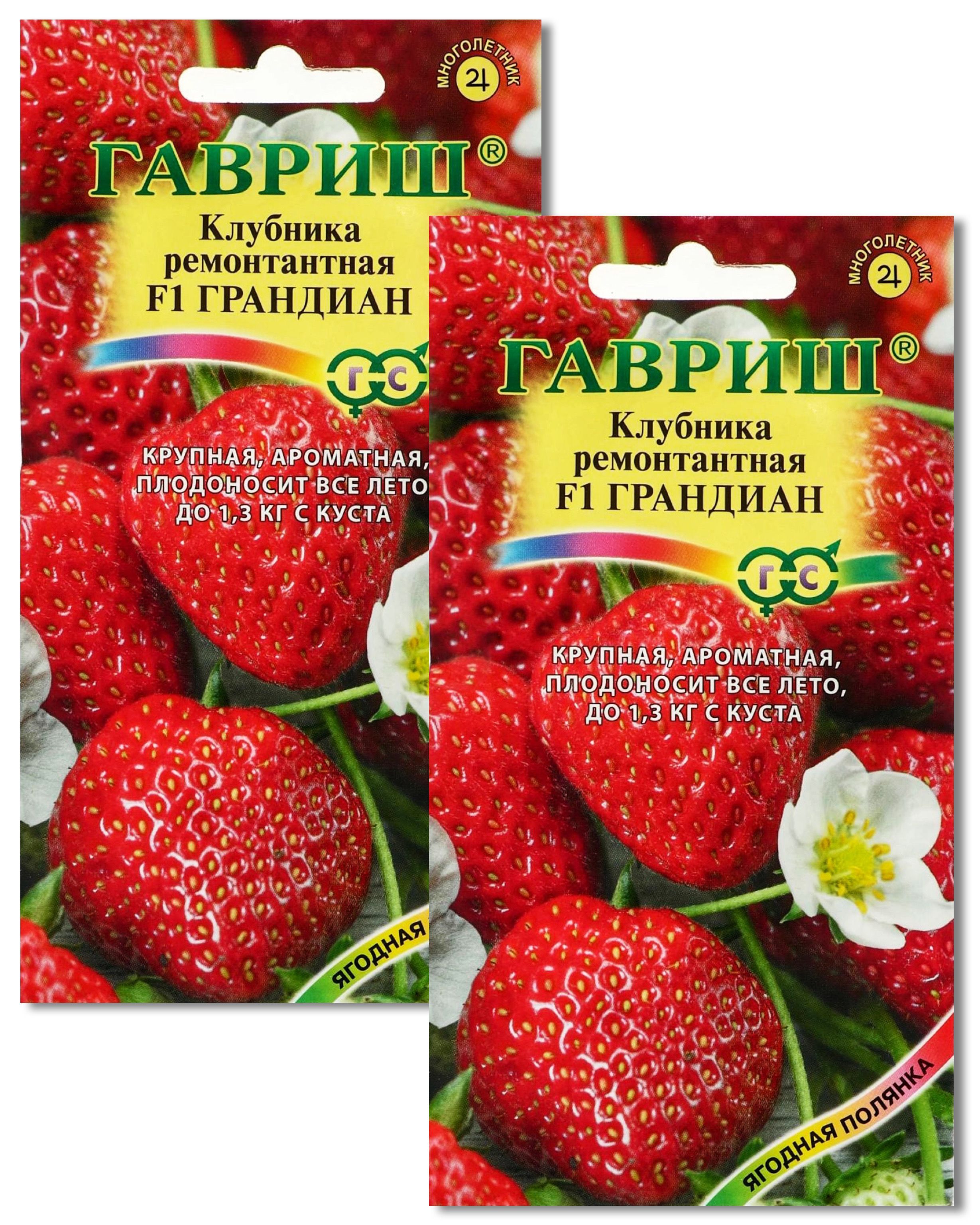 Лесландия семена отзывы. Клубника Гавриш. Балконная клубника. Клубника балконно-комнатная.