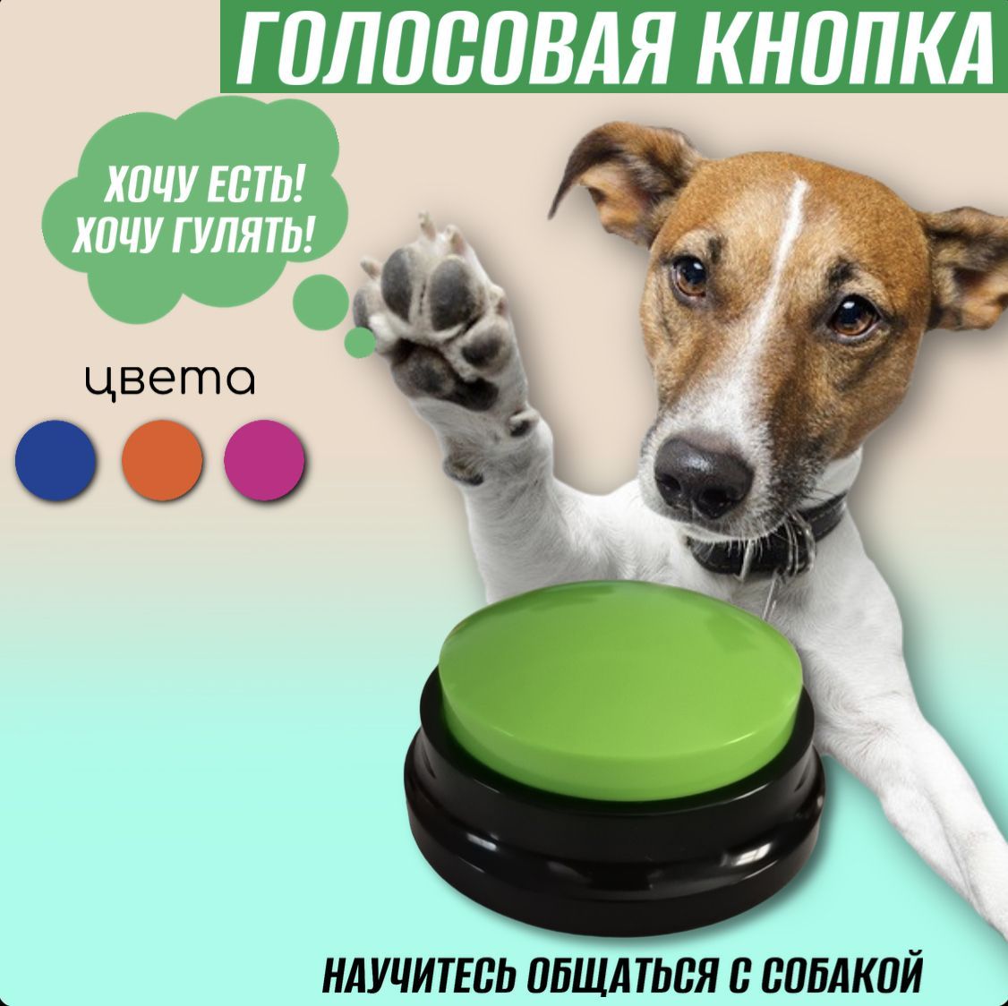 Говорящие кнопки для собак. Голосовые кнопки для собак. кнопка для собак говорящая. мастер собак. баннер владельцам собак и кошек.