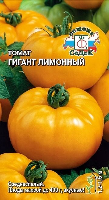 ТоматСедек