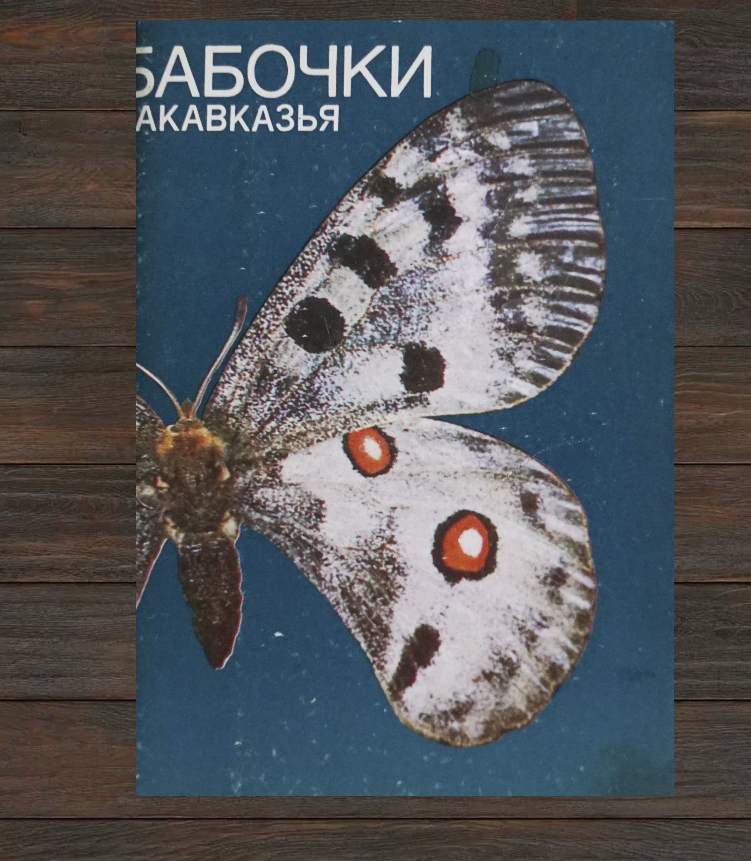 Набор из 18 открыток "Бабочки закавказья". СССР, Планета 1988