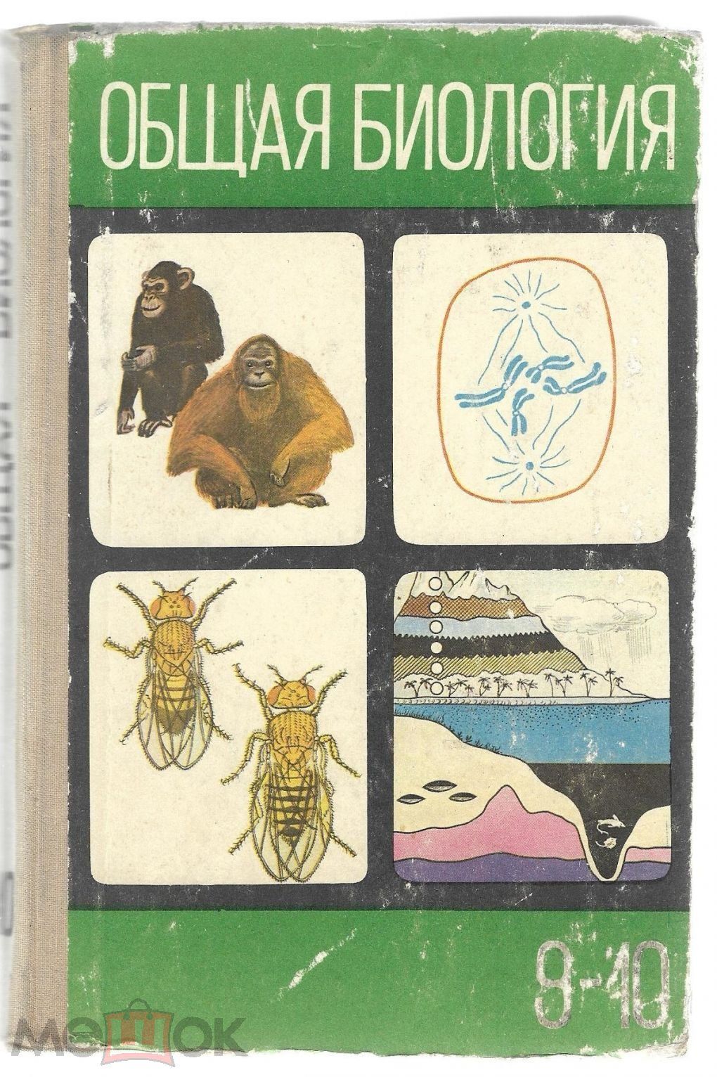 общая биология полянский браун 9-10 класс. общая биология 10 класс полянский. биология учебники ссср 10-11. ю. , верзилин н.