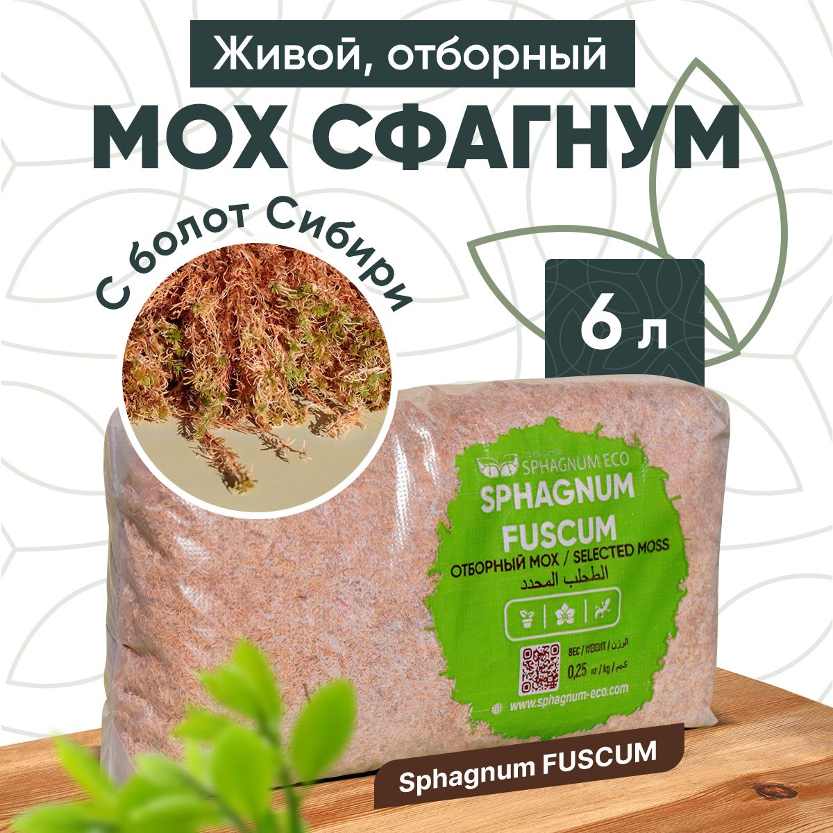 Мох Сфагнум для Монстеры купить на OZON по низкой цене