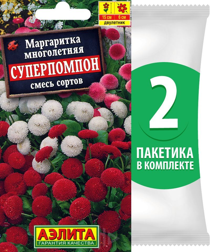 Маргаритки Семена Купить
