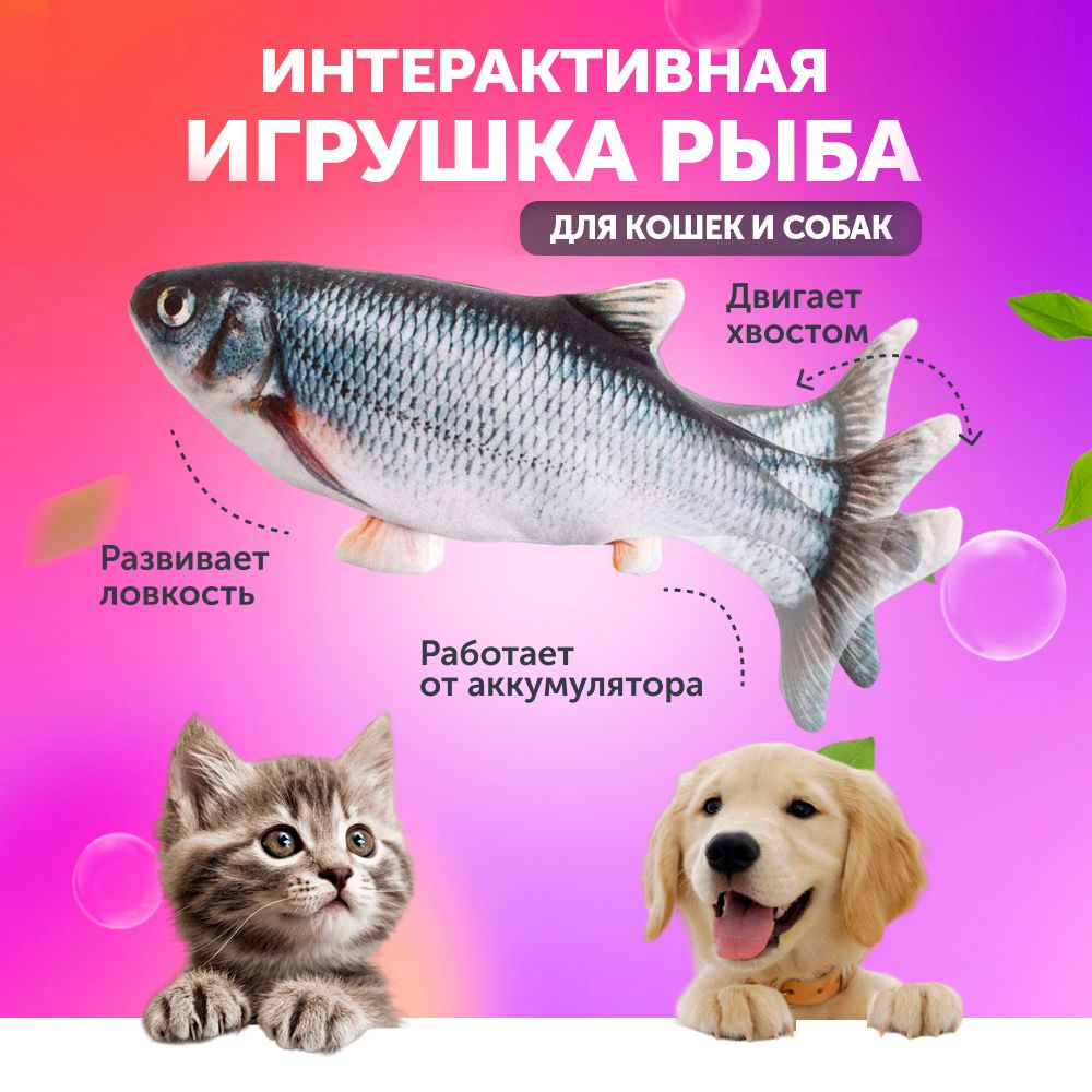 Интерактивная игрушка Рыбка для кошек, дразнилка - купить с доставкой по  выгодным ценам в интернет-магазине OZON (1472251449)