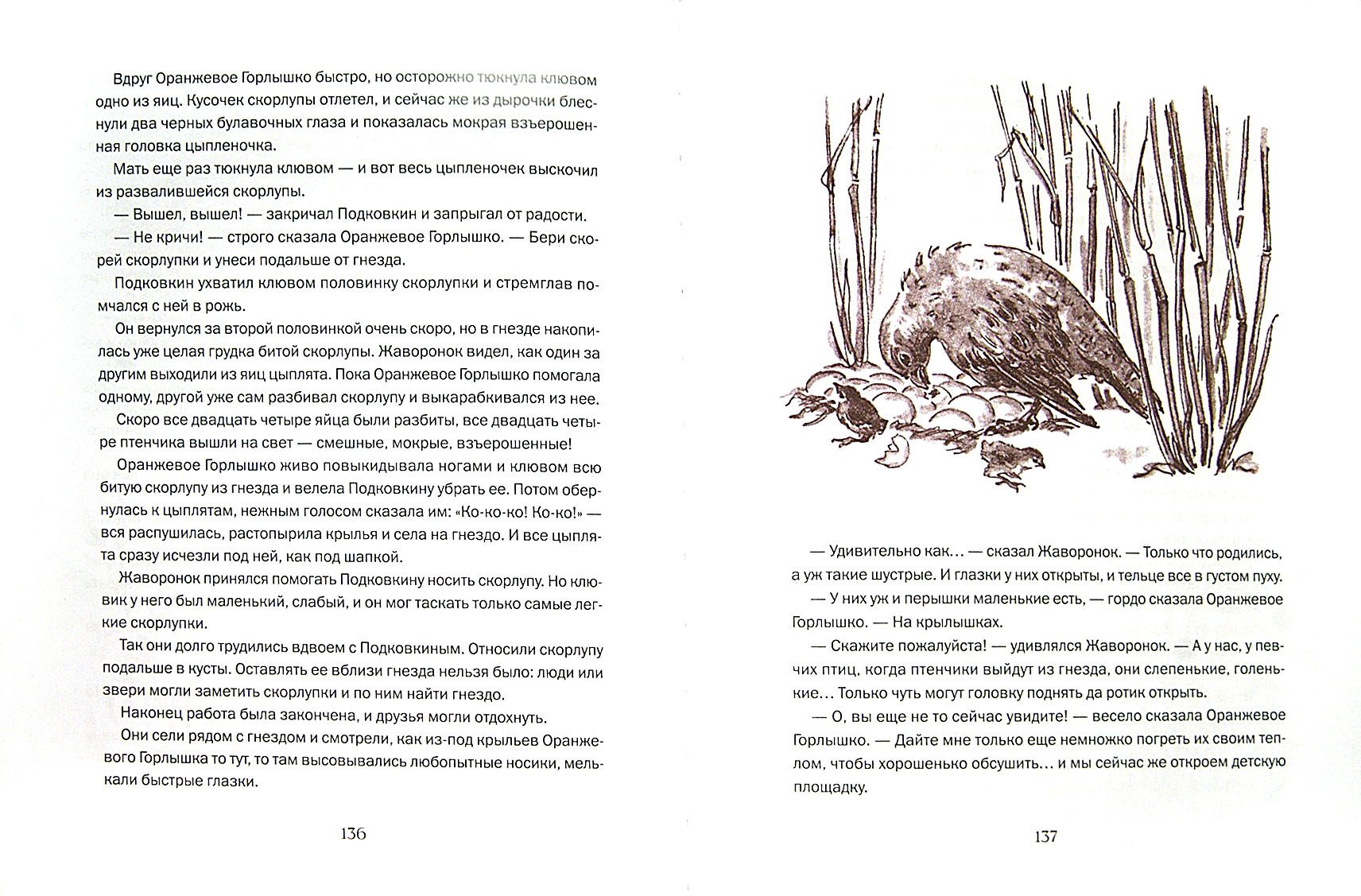 Читать сказку оранжевое горлышко. Бианки оранжевое горлышко книга. В В Бианки оранжевое горлышко Мурзук. Бианки на земле Новгородской. Рассказ Бианки оранжевое горлышко Мурзук.