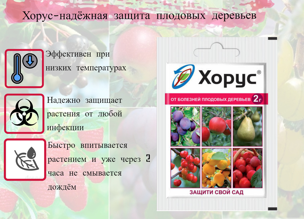 Препарат хорус инструкция по применению отзывы. Хорус 3гр. Хорус пестицид. Хорус для плодовых деревьев. Хорус растение