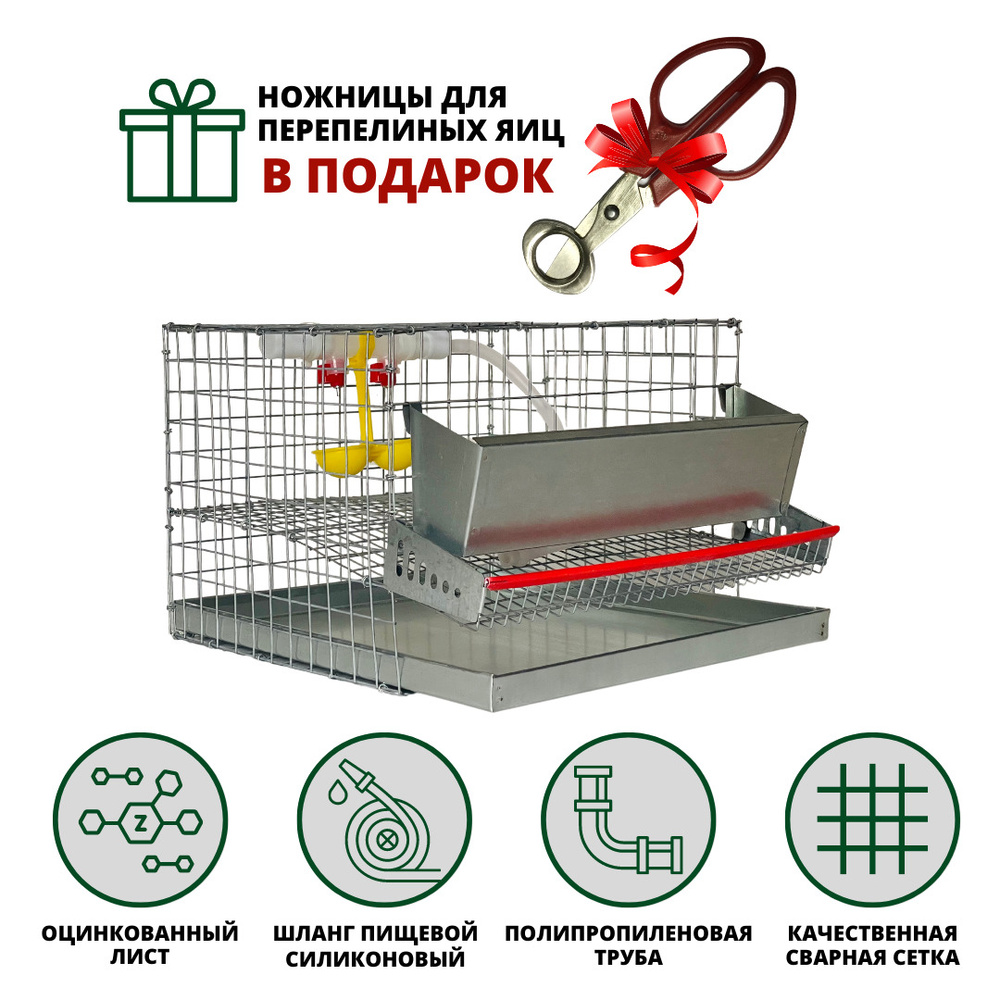 Клетки для перепелов своими руками + чертежи бесплатно