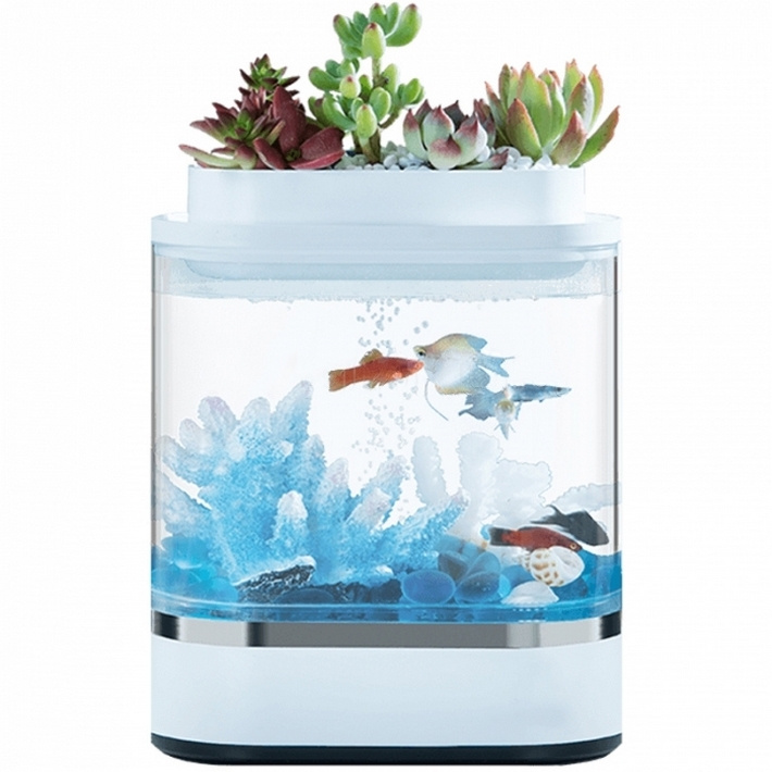 Аквариум xiaomi geometry mini lazy fish tank usb hf jhyg005 обзор