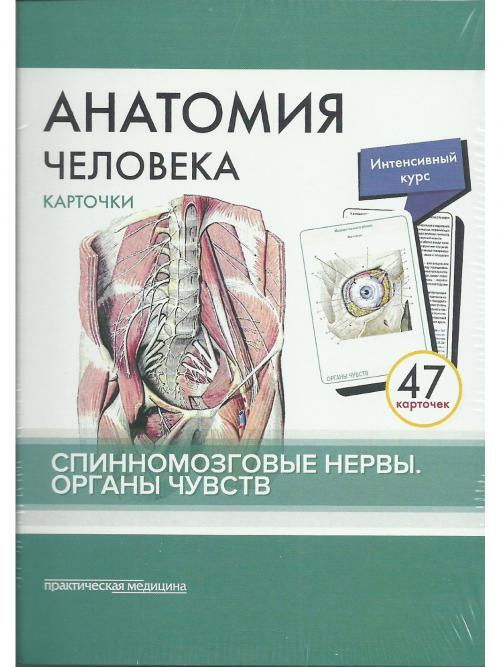 Книга "Анатомия человека. Спинномозговые нервы. Органы чувств. КАРТОЧКИ ...