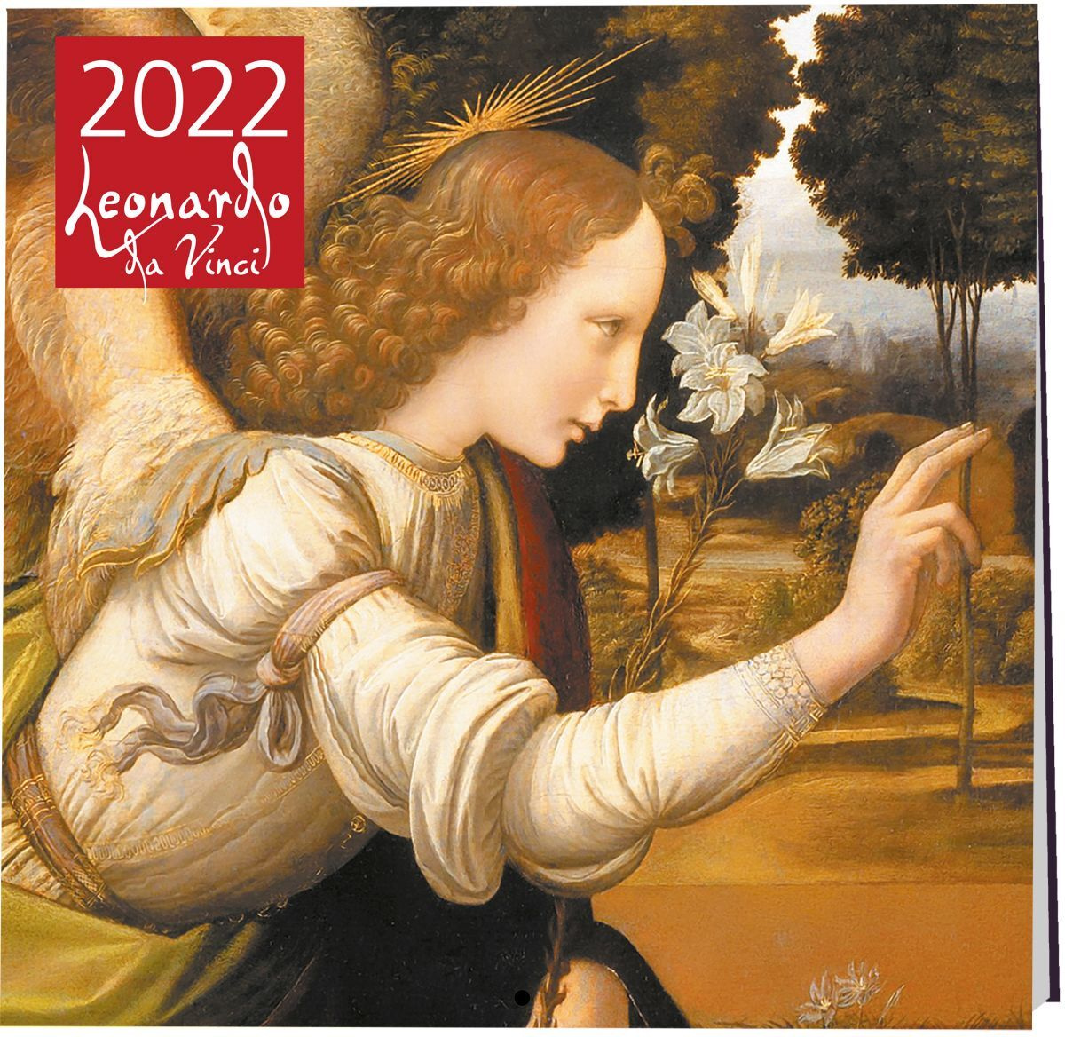 Новые Выпуски Дома 2 2022 Год