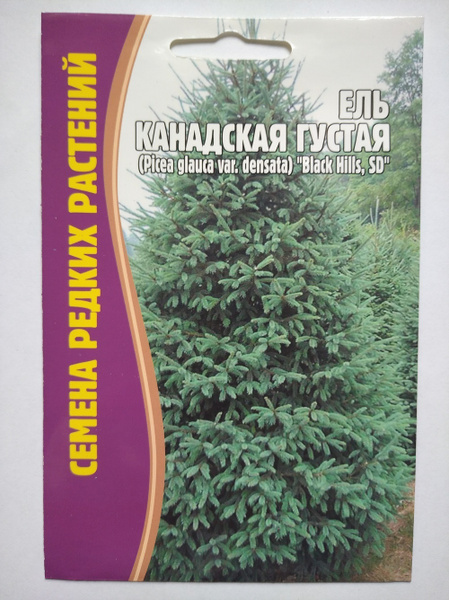 Дельфиниум Гигантская смесь + Летний танец - купить по выгодным ценам в ...