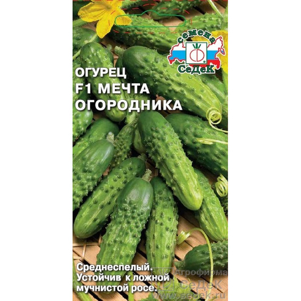 Огурцы Мечта дачника F1, 1 этап. Посев семян