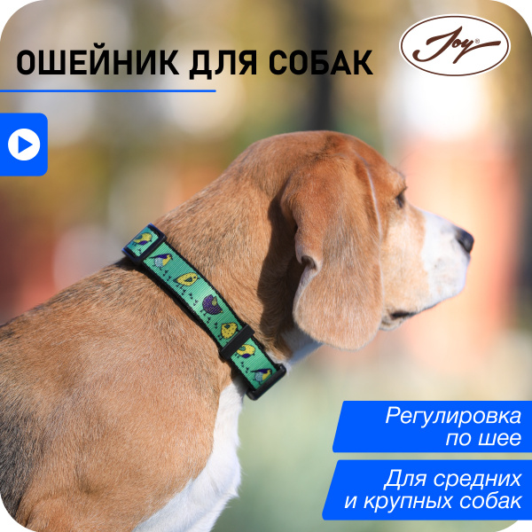 Ошейник для собак средних и крупных пород JOY собачий ошейник для ...