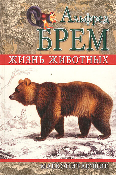 Как выглядит жизнь животных Жизнь животных. Млекопитающие/Компл.из 5 книг/. Брем Альфред Эдмунд - купить с д