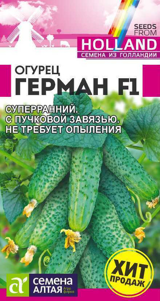 Где Купить Настоящие Голландские Семена