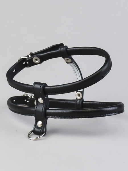 Шлейка Шпиц (свыше 7кг) - купить с доставкой по выгодным ценам в ...