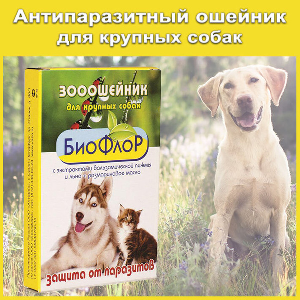 Ошейник антипаразитный 65 см. для животных/БИО ошейник для собак ...