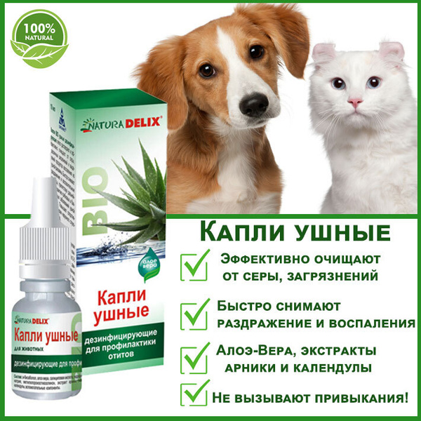 «Когда у кошки болит ушко» или отиты у кошек - статьи о ветеринарии «Свой Доктор»