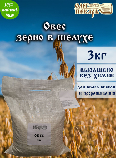 Овес в шелухе цельное зерно Олег Пекарь, 3 кг. - купить с доставкой по ...