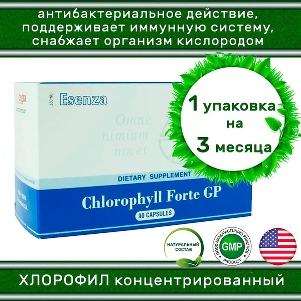 Chlorophyll Forte Santegra / Хлорофилл Форте Сантегра / Хлорофилл - 50 ...