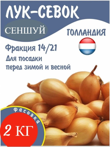 Луковицы Лук севок купить по выгодной цене в интернет-магазине OZON ...