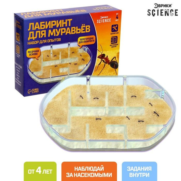 Набор для опытов "Лабиринт для муравьев" - купить с доставкой по ...
