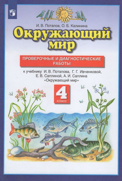 Окружающий мир. 4 класс. Проверочные и диагностические работы. К ...