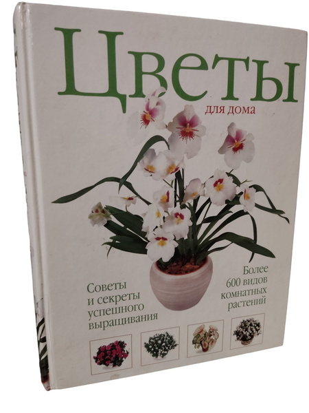 Цветы для дома: советы и секреты - купить с доставкой по выгодным ценам ...