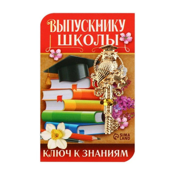 Ключ сувенирный на Выпускной Выпускнику школы, металл, 2 х 4,8 см ...